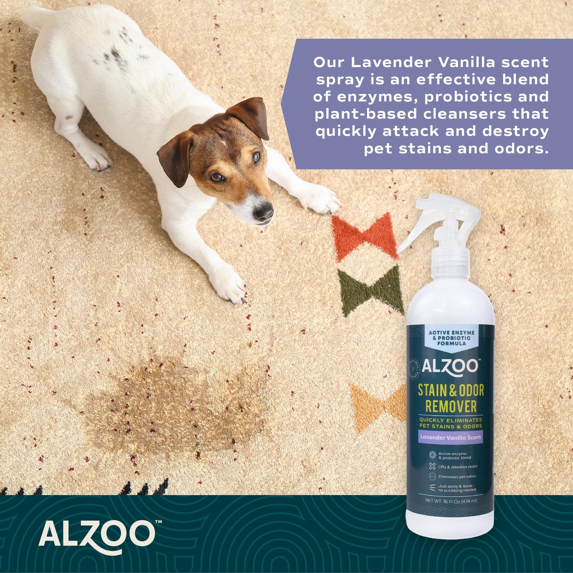 Pet Stain & Odor Remover Spray for Dog & Cat Urine (16 Fl Oz)