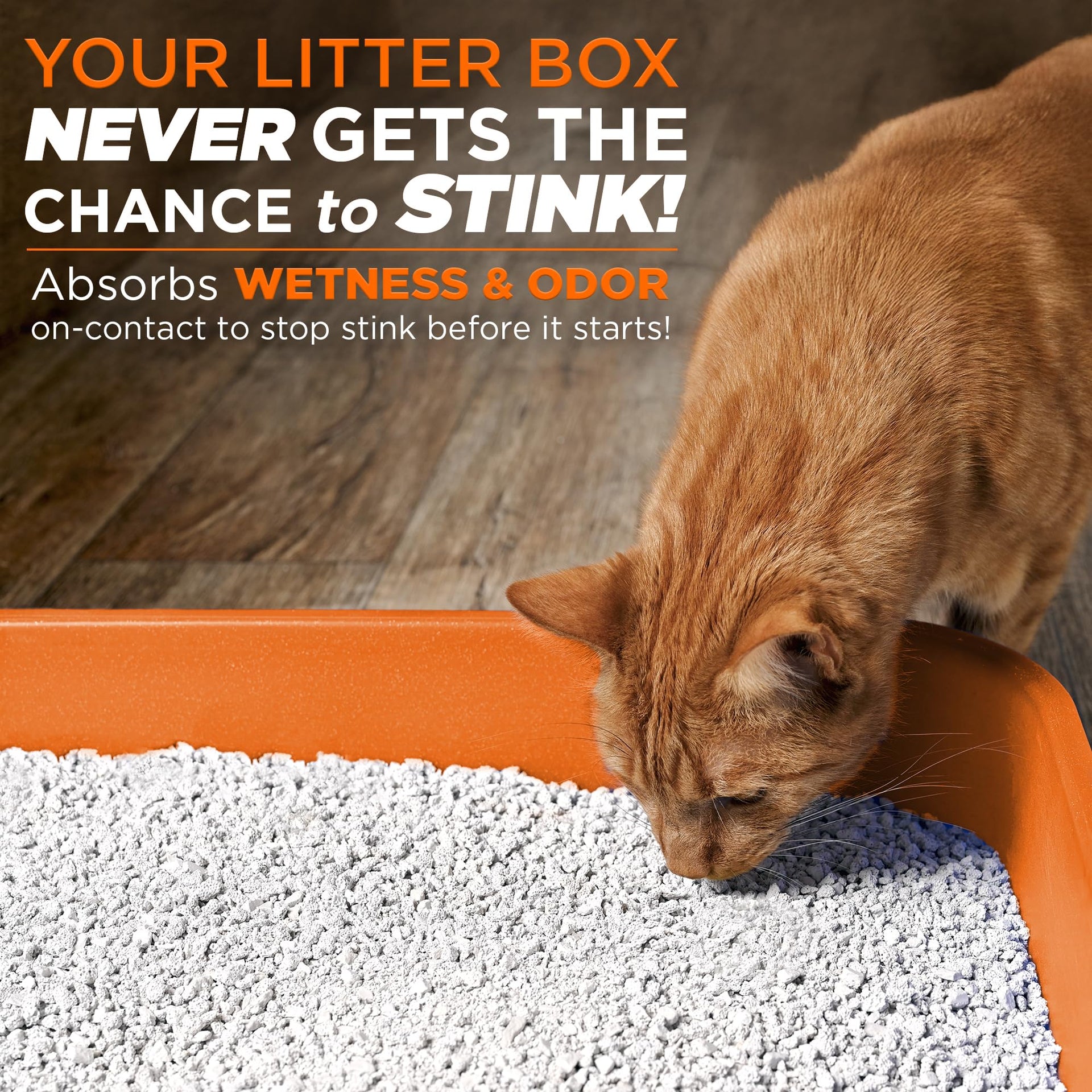 Litterizer Cat Litter Odor Eliminator Additive (16 Ounce)