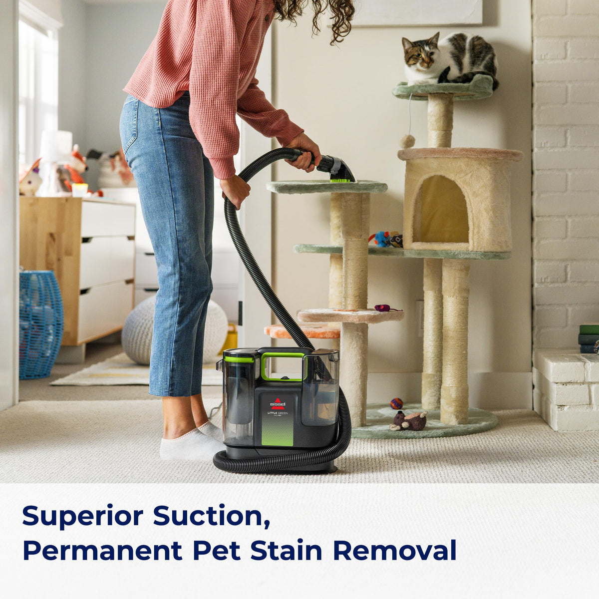 Little Green Max Pet Portable Carpet Cleaner