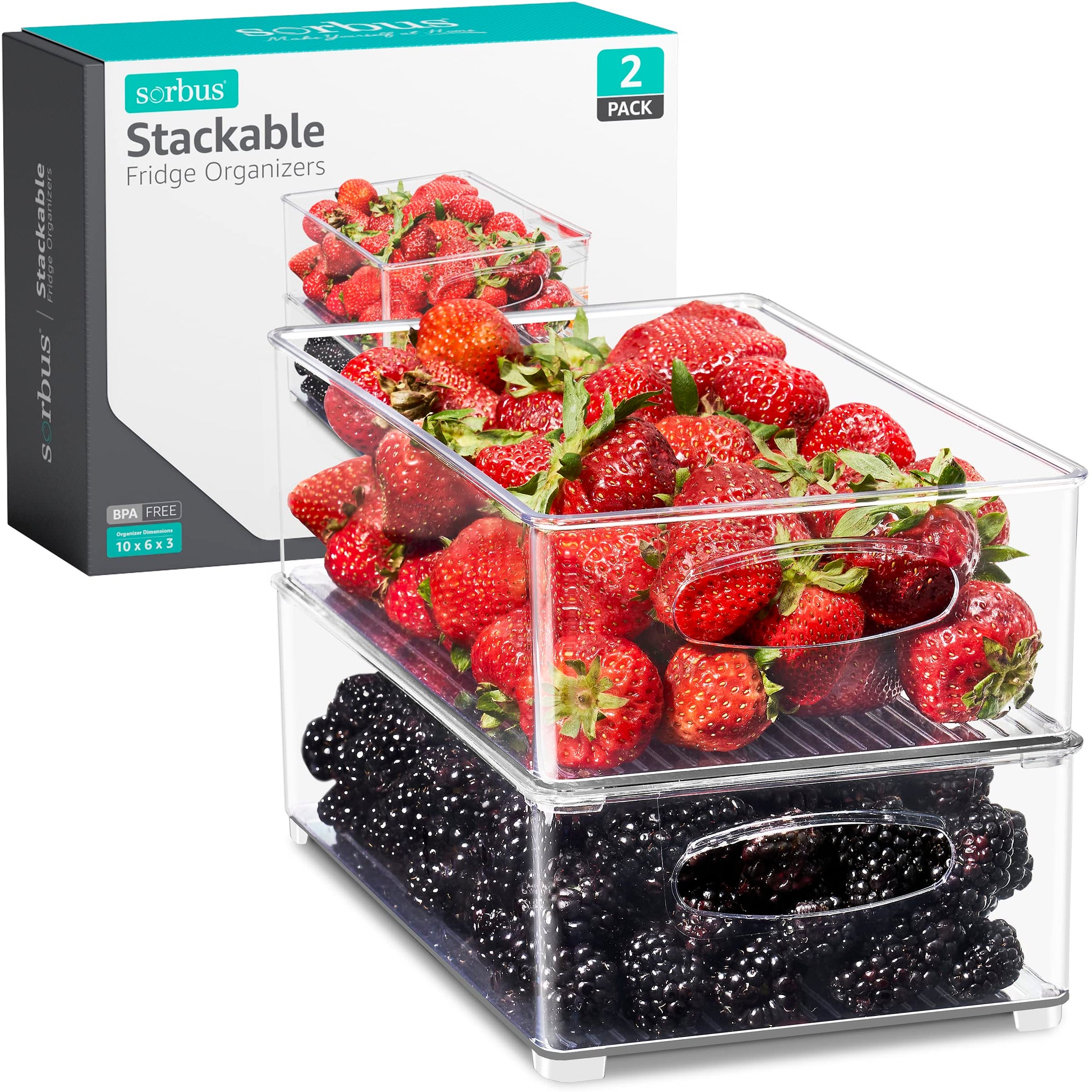 Stackable Refrigerator Organizer Bins (2 Count)