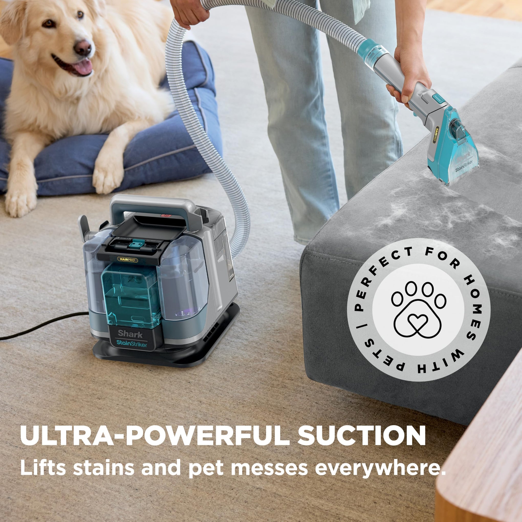 StainStriker HairPro Portable Stain Cleaner