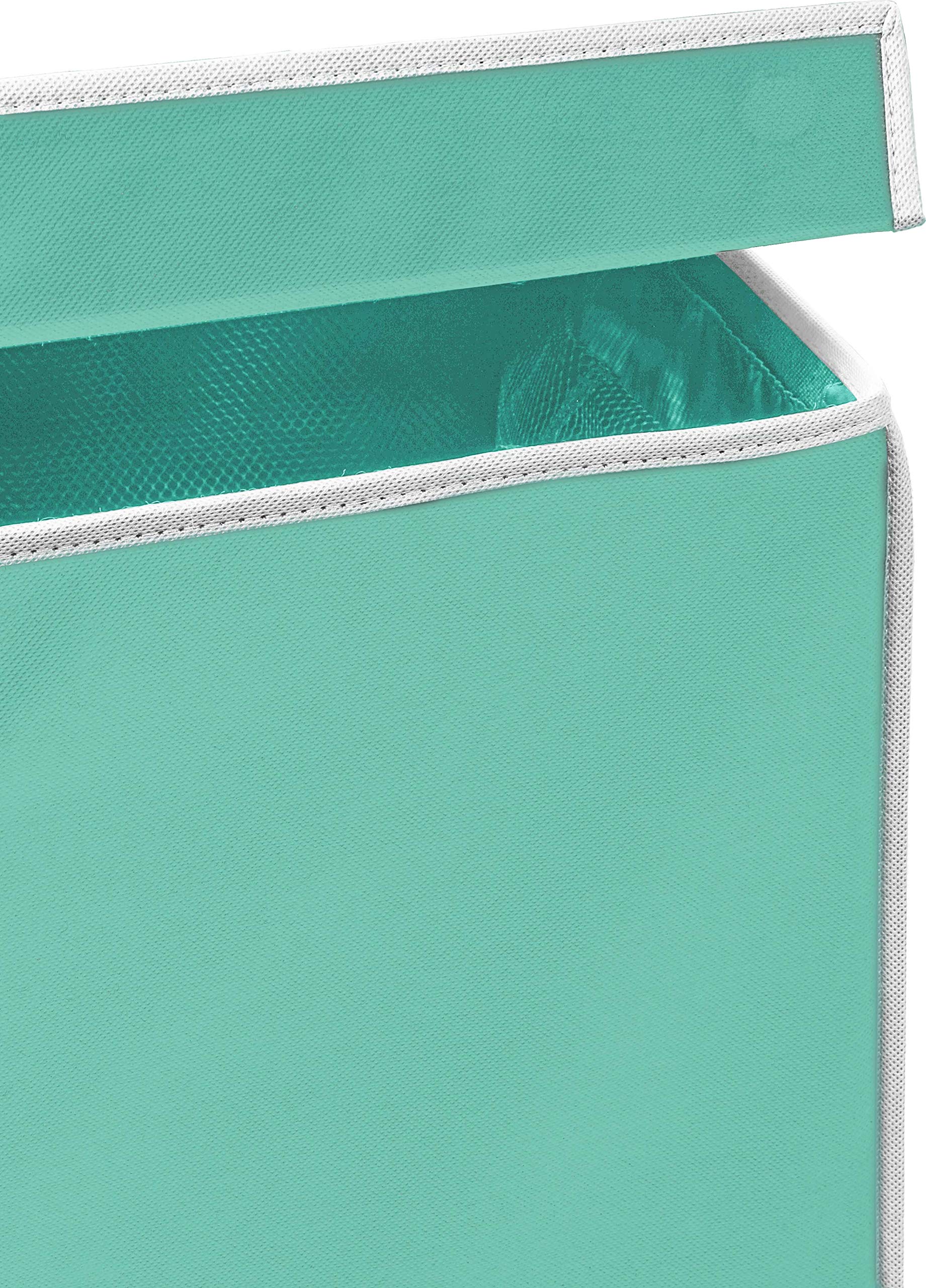 Double Laundry Hamper with Lid & Removable Bags