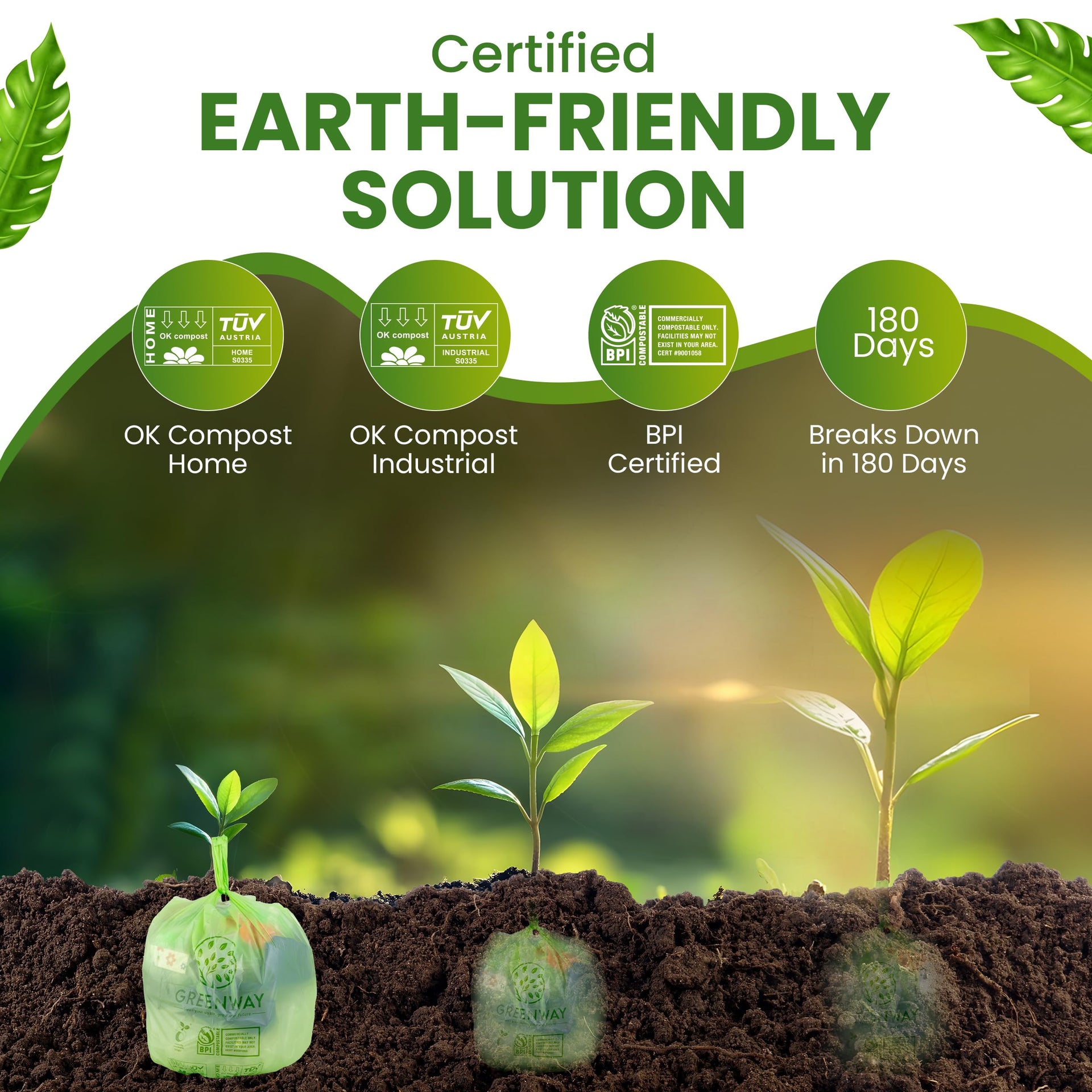 3 Gallon Compostable trash Bags with Handles (100 Count)