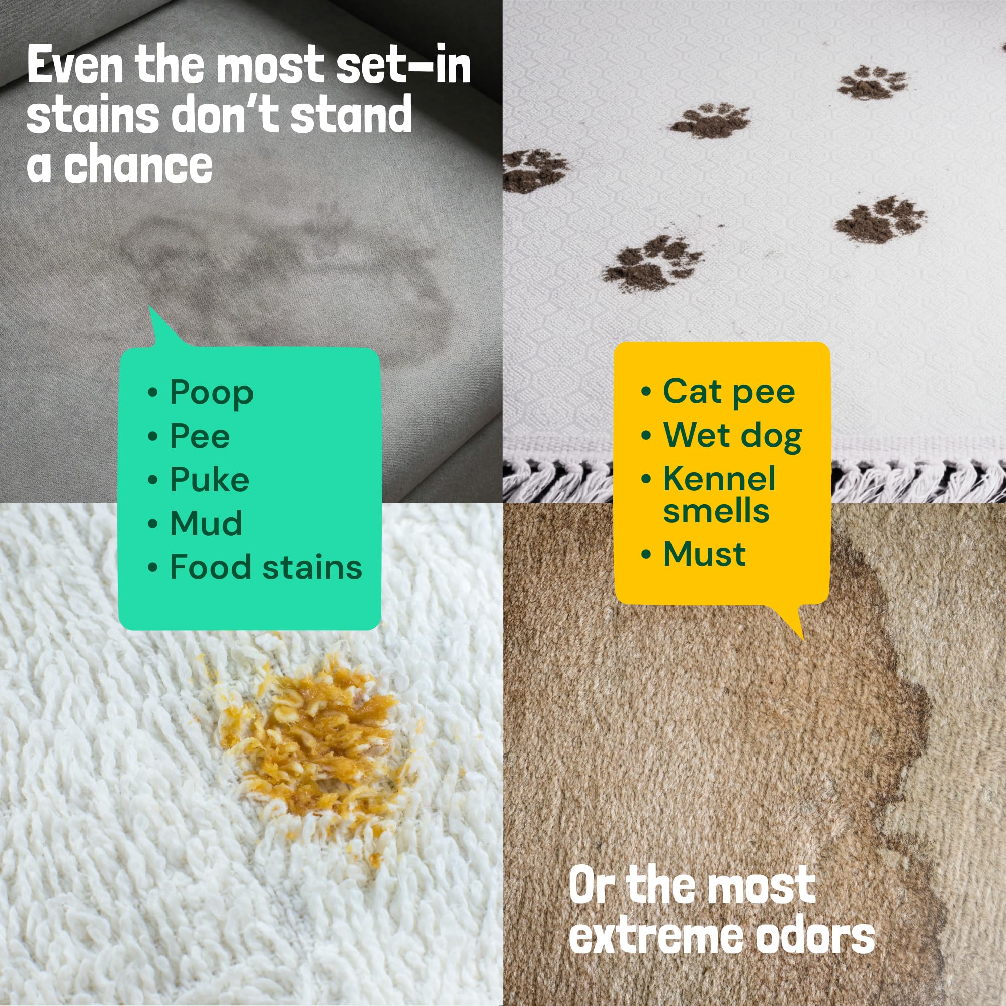 Turbo Pet Stain and Odor Remover for Carpets (32 Fl Oz)