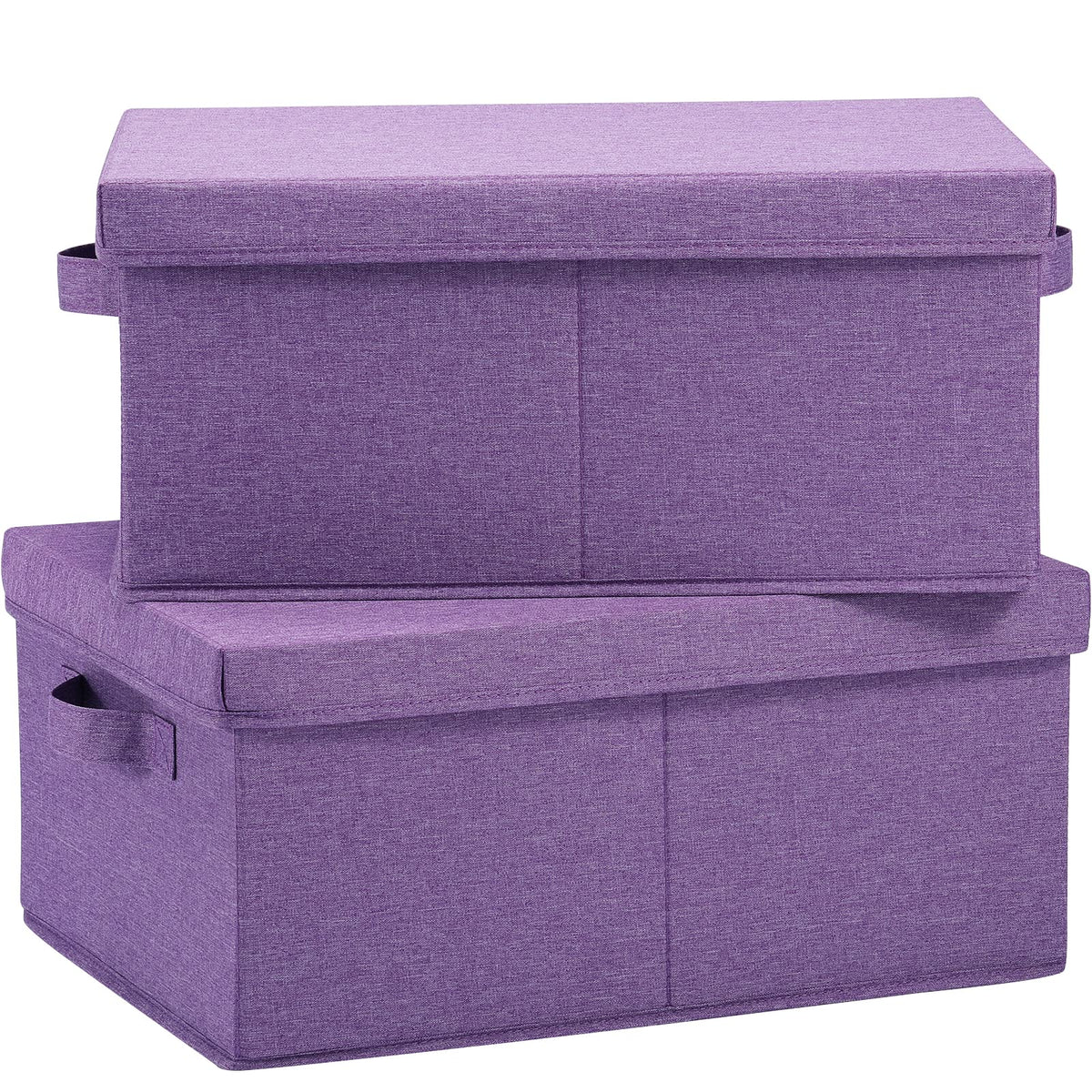 Foldable Storage Bins with Lids (2 Count)