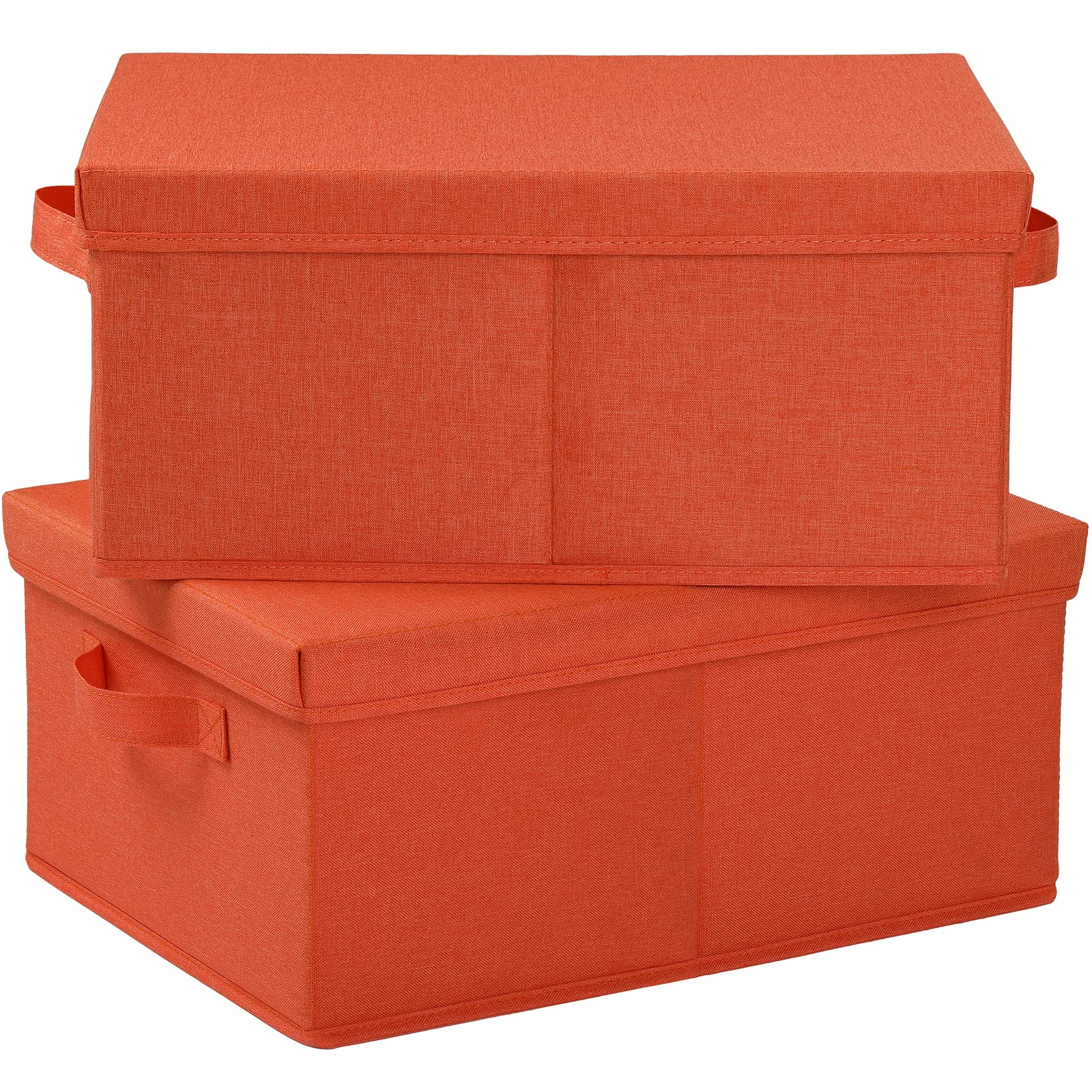 Storage Bins with Lids for Organizing (2 Count)