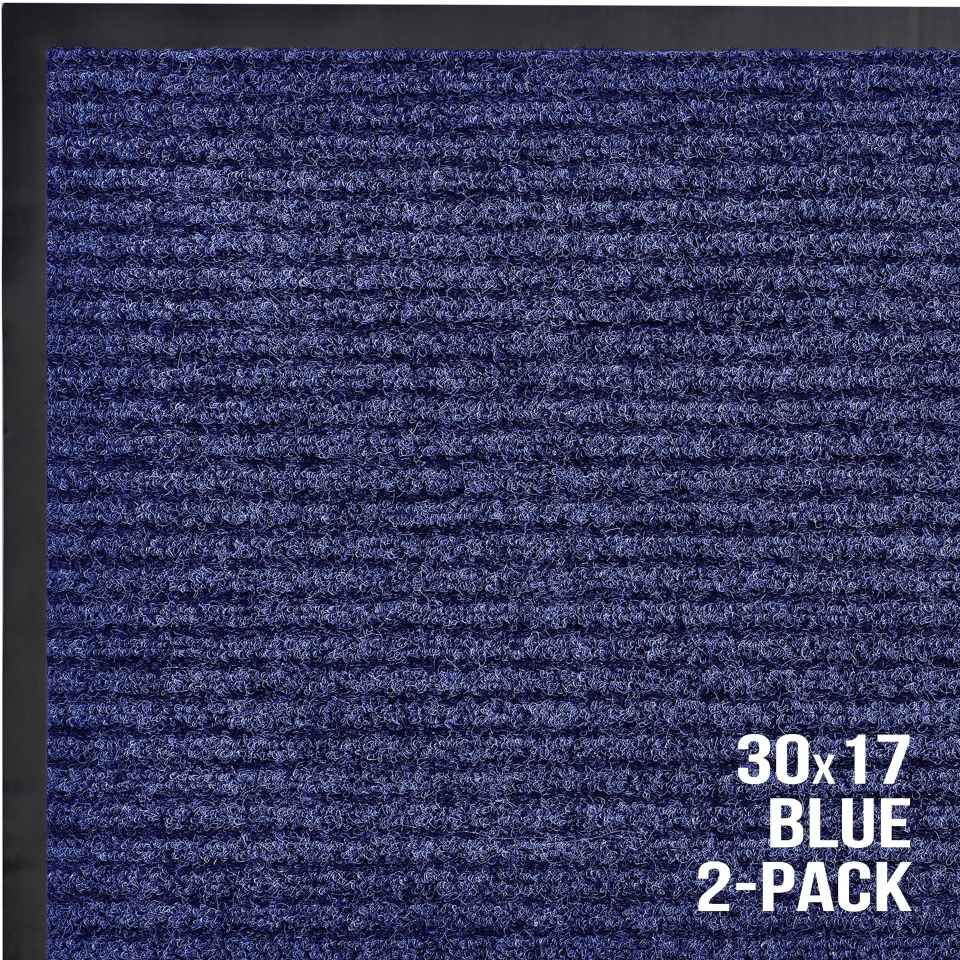 Front Door Mat (2 Count)