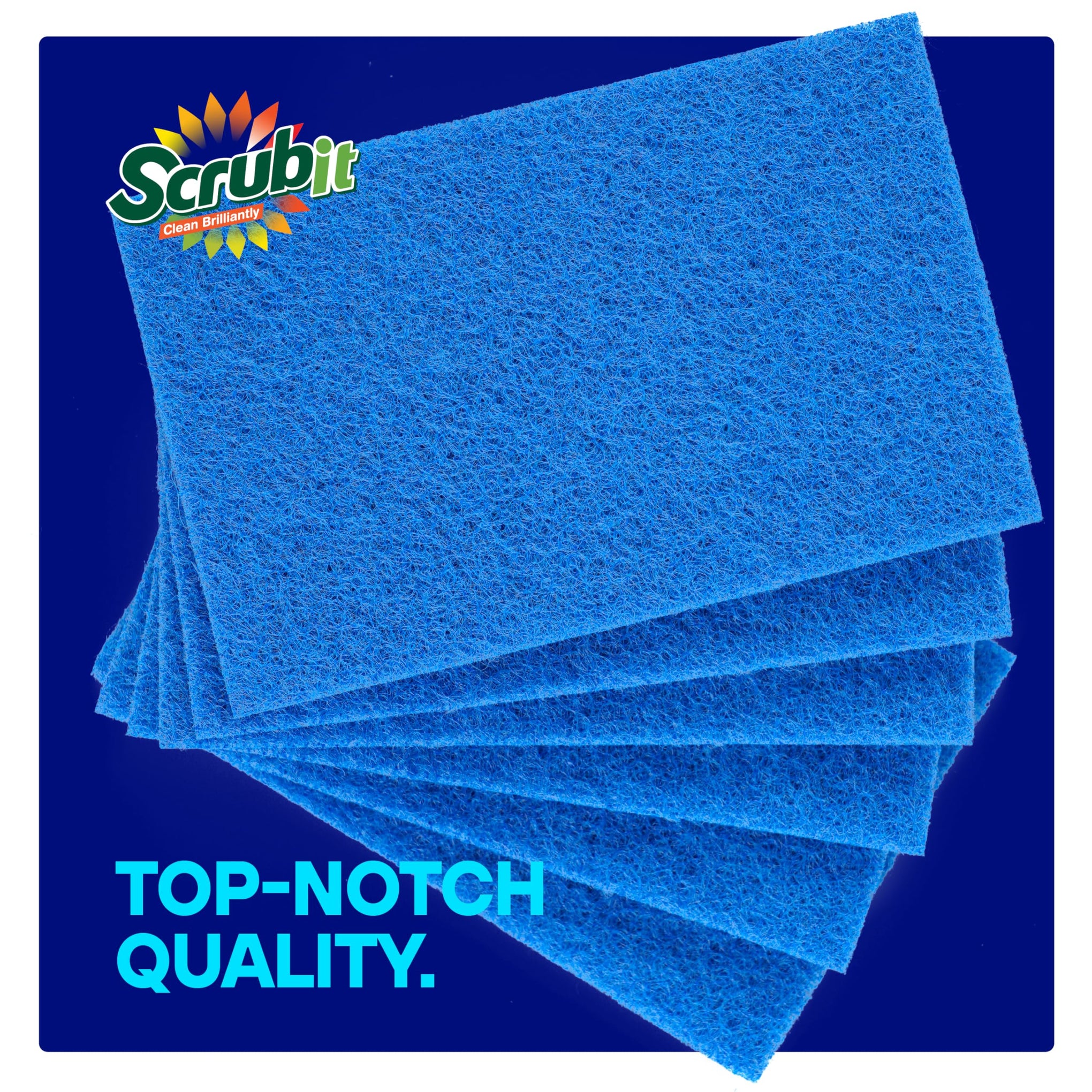 50 Pack Scouring Pad (50 Count)